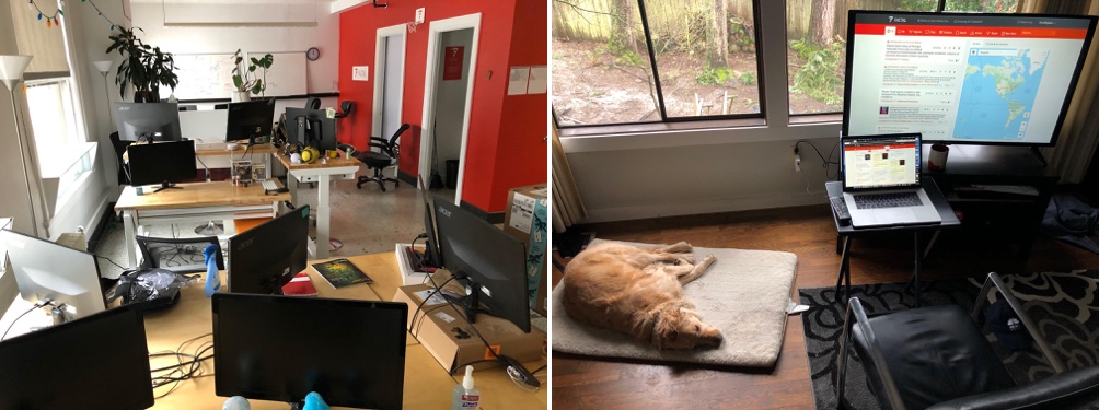The empty offices of Factal on the left. A work station at someone's home. Their dog is lying by the computer table.