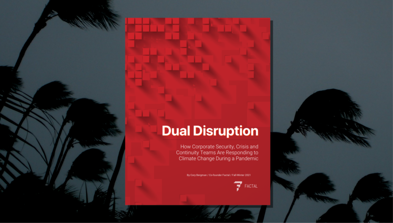 Dual Disruption logo sitting over blowing palm trees.