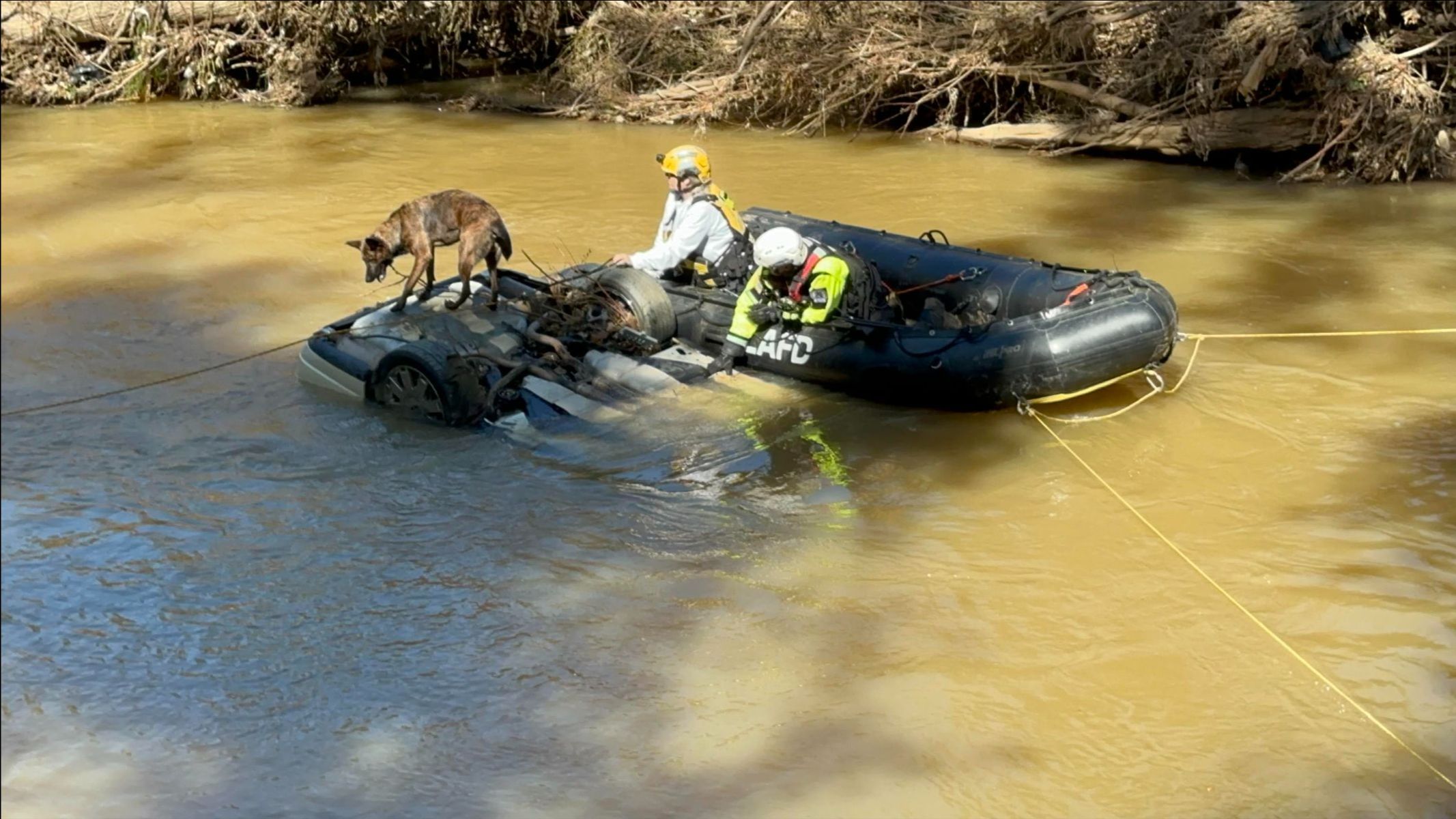 The image shows an inflatable black rescue boat on a muddy river, with two rescue workers and a dog. One rescue worker, wearing a yellow helmet and life jacket, sits at the back of the boat next to the dog. The other worker, in a white helmet and high-visibility jacket, examines a partially submerged vehicle. The dog stands on the overturned vehicle's underside, near one of the wheels visible above the water. The boat is secured with yellow ropes tied to the shore. The riverbank in the background has dense, dry vegetation.