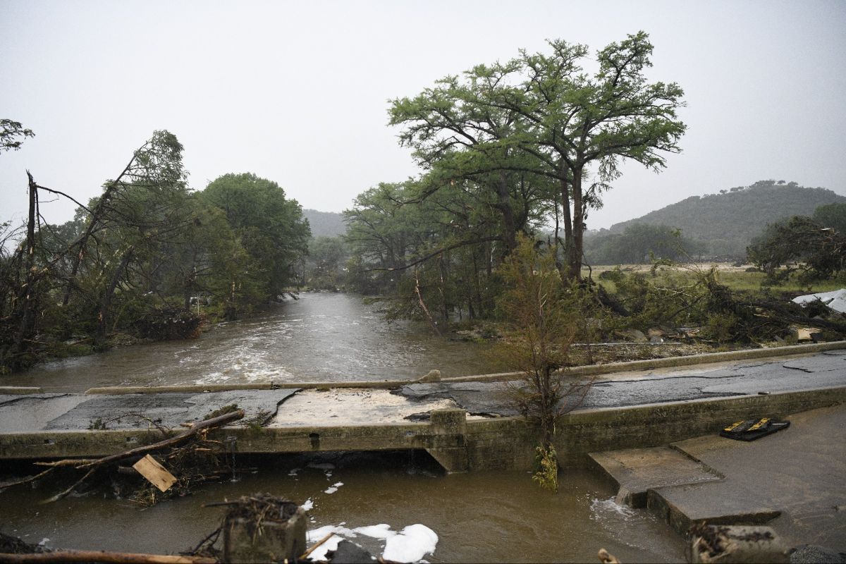 The image depicts a scene of flooding in a natural, wooded area. A river has overflowed its banks, covering a roadway and surrounding areas with water. Several large trees, including a prominent one near the center, are partially submerged and leaning due to the force of the water. The sky is overcast, suggesting recent heavy rainfall. Damaged and uprooted branches are visible, indicating the intensity of the flood. In the background, rolling hills with trees are seen, shrouded in mist. A partially damaged road is at the bottom, with debris scattered around the area.