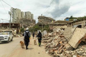 In the image, a team of rescuers is walking down a street scattered with debris, suggesting recent destruction, likely from an earthquake. The foreground includes two rescue workers dressed in dark uniforms and helmets, leading two dogs. They are walking alongside a white vehicle parked beside a pile of rubble. In the background, a series of collapsed buildings are visible, with the remnants of structures indicating severe damage. The sky overhead is cloudy, contributing to the somber atmosphere of the scene.