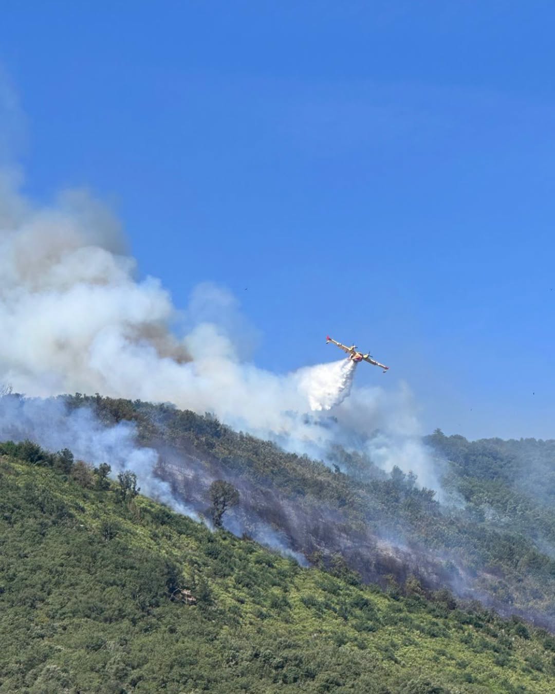 The image depicts a firefighting aircraft in action over a hillside engulfed in smoke and flames. The aircraft, positioned in the upper section of the image, is releasing a white cloud of fire retardant onto the burning area below. The background features a clear blue sky, contrasting with the wispy gray smoke billowing from the flames. The lower section of the hillside showcases the terrain, primarily covered in green vegetation, with patches of charred blackened earth indicating areas that have already burned. The smoke obscures part of the forested area that transitions from vibrant green foliage to ashy remnants from the fire.