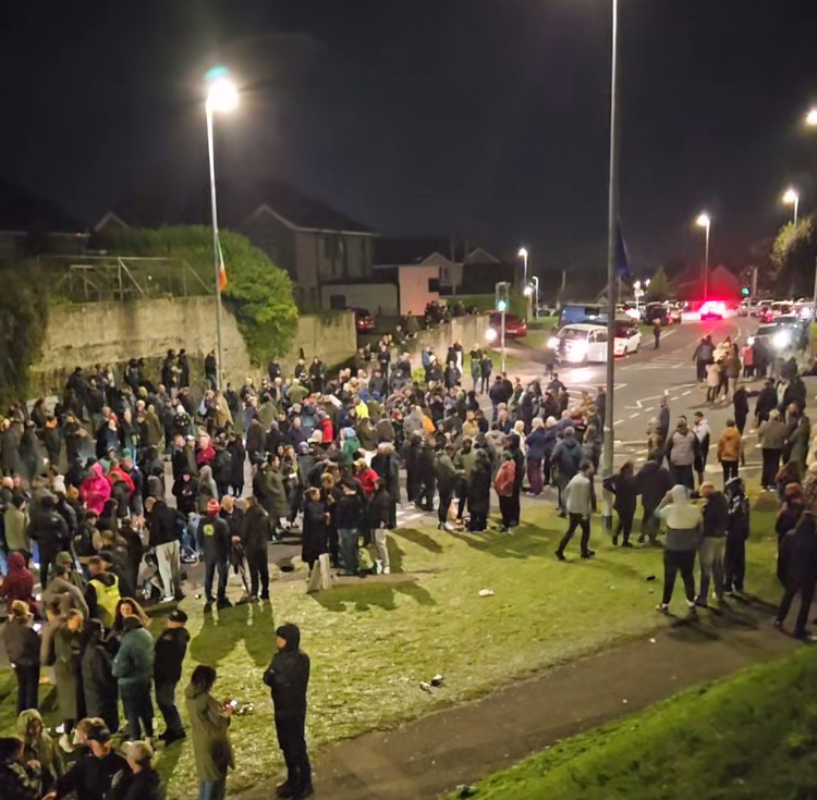 A large crowd gathers outdoors at night on a grassy area beside a road. Many people wear coats, hats, and other cold-weather clothing, with groups standing, walking, and talking. A low stone wall and fenced area line the left side, with houses and trees behind them. Bright streetlights illuminate the scene, while several vehicles are stopped on the road to the right; one has flashing red and blue lights. A paved path crosses the foreground, and the wet grass and pavement reflect some of the artificial light.